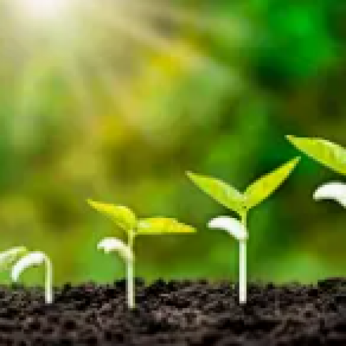 Como escolher sensores de EC de solo adequados para aplicações agrícolas?